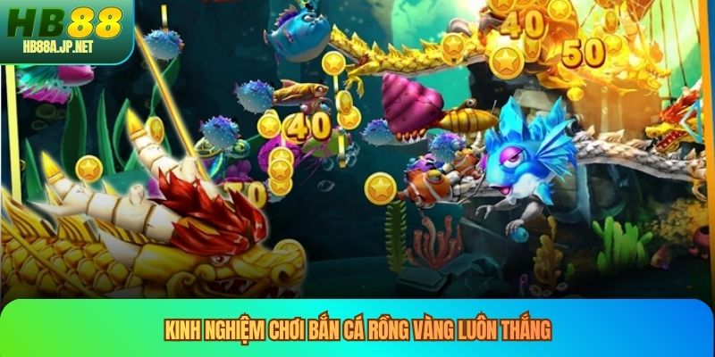 Kinh nghiệm chơi bắn cá rồng vàng luôn thắng