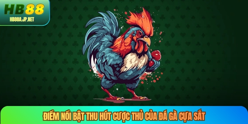 Điểm nổi bật thu hút cược thủ của đá gà cựa sắt