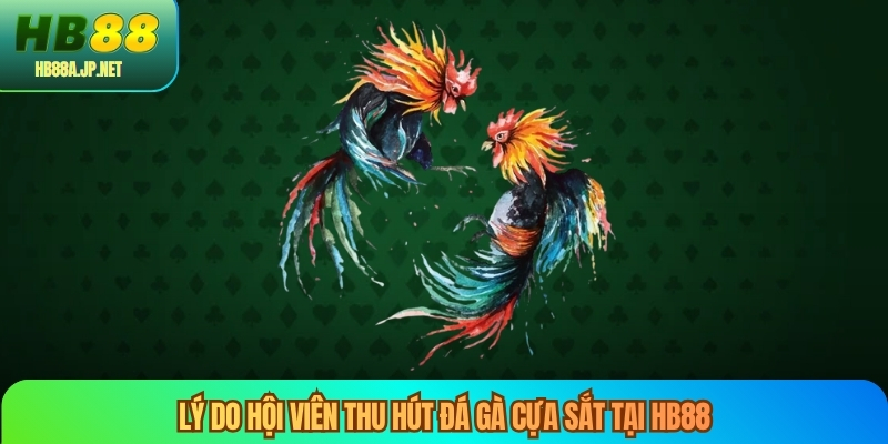 Lý do hội viên thu hút đá gà cựa sắt tại HB88