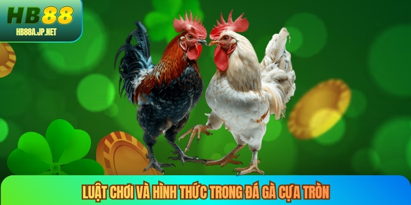 Luật chơi và hình thức trong đá gà cựa tròn