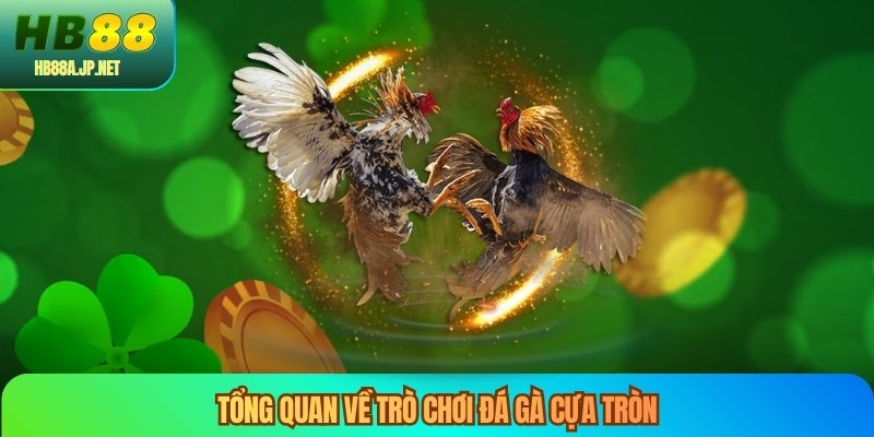 Tổng quan về trò chơi đá gà cựa tròn