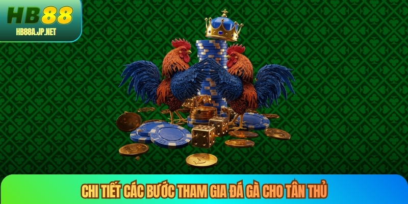 Chi tiết các bước tham gia đá gà cho tân thủ