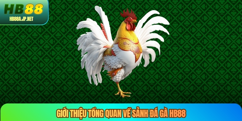 Giới thiệu tổng quan về sảnh đá gà HB88