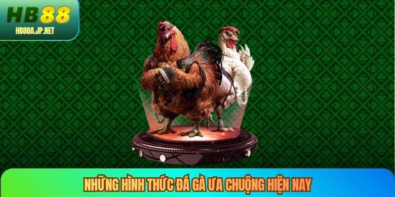 Những hình thức đá gà ưa chuộng hiện nay