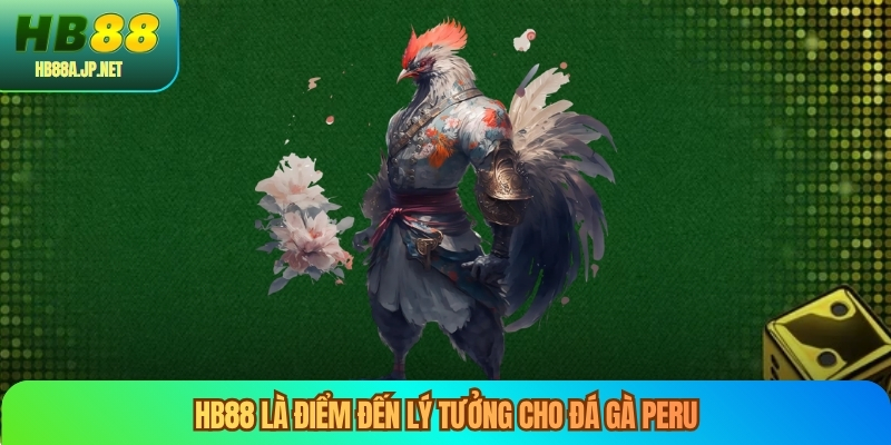 HB88 là điểm đến lý tưởng cho đá gà peru