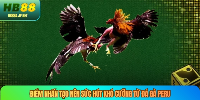 Điểm nhấn tạo nên sức hút khó cưỡng từ đá gà peru