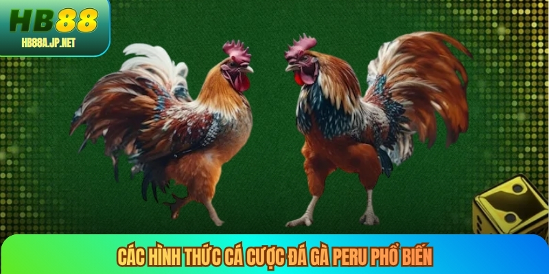 Các hình thức cá cược đá gà peru phổ biến