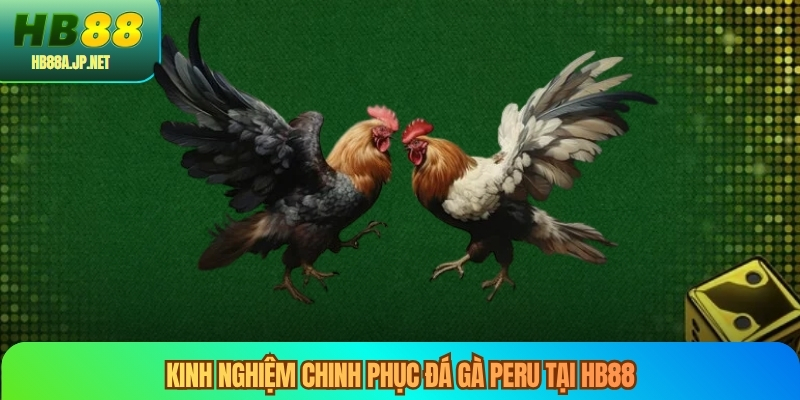 Kinh nghiệm chinh phục đá gà peru tại HB88