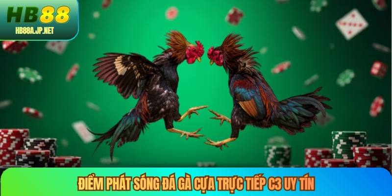 Điểm phát sóng đá gà cựa trực tiếp C3 uy tín