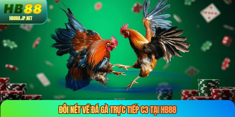 Đôi nét về đá gà trực tiếp C3 tại HB88