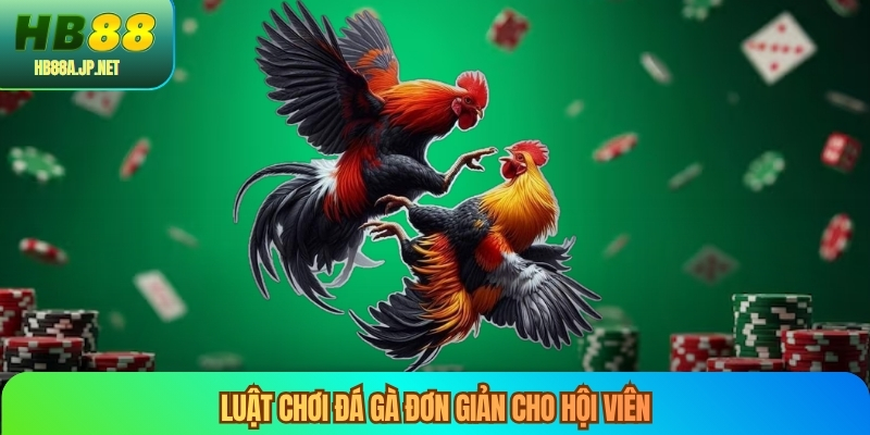 Luật chơi đá gà đơn giản cho hội viên