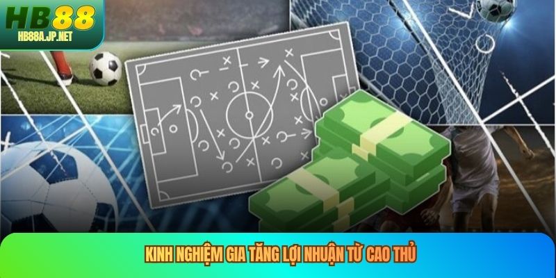 Kinh nghiệm gia tăng lợi nhuận từ cao thủ