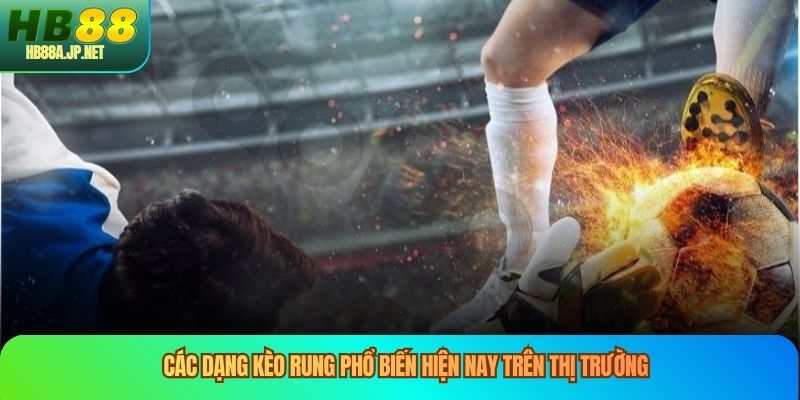 Các dạng kèo rung phổ biến hiện nay trên thị trường