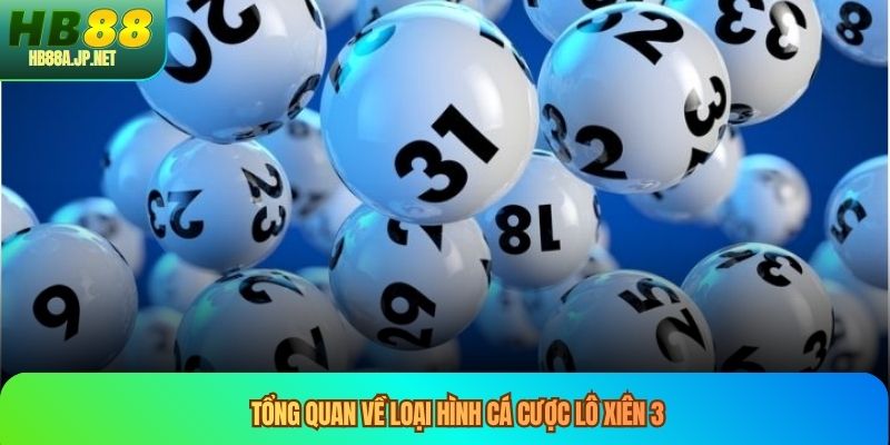 Tổng quan về loại hình cá cược lô xiên 3