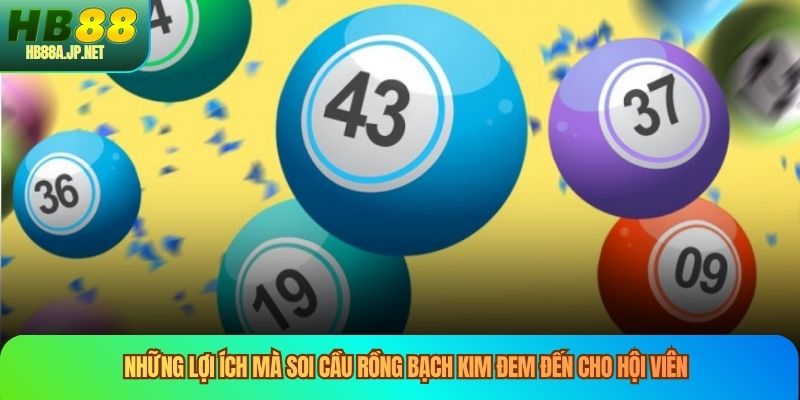 Những lợi ích mà soi cầu rồng bạch kim đem đến cho hội viên